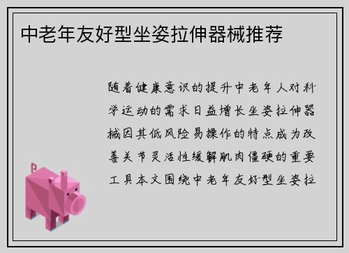 中老年友好型坐姿拉伸器械推荐
